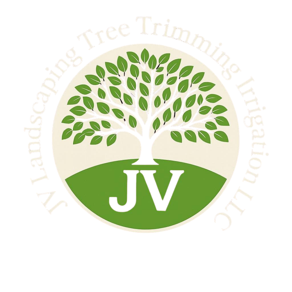 site logo